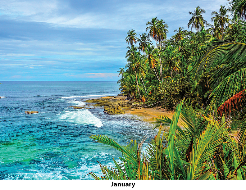 Scenic Beaches Wall Calendar DW27SBP