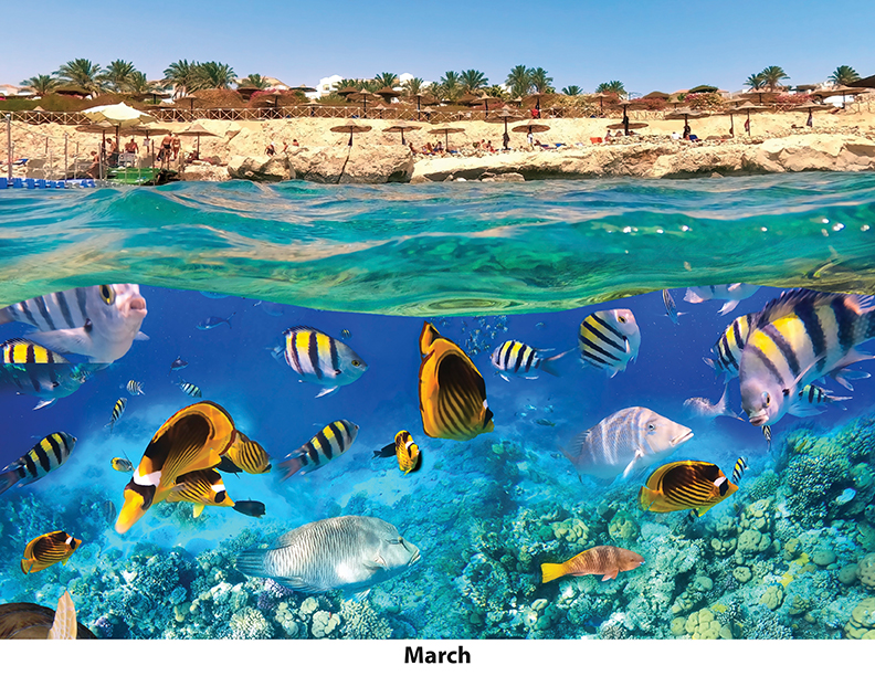 Scenic Beaches Wall Calendar DW27SBP