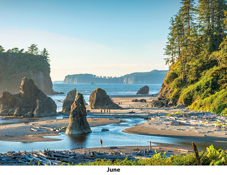 Scenic Beaches Wall Calendar DW27SBP