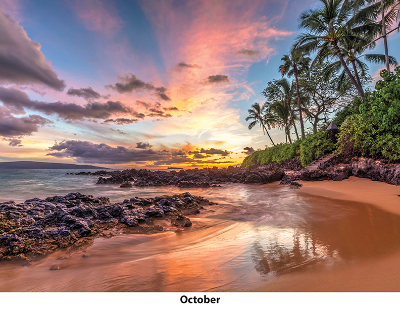 Scenic Beaches Wall Calendar DW27SBP