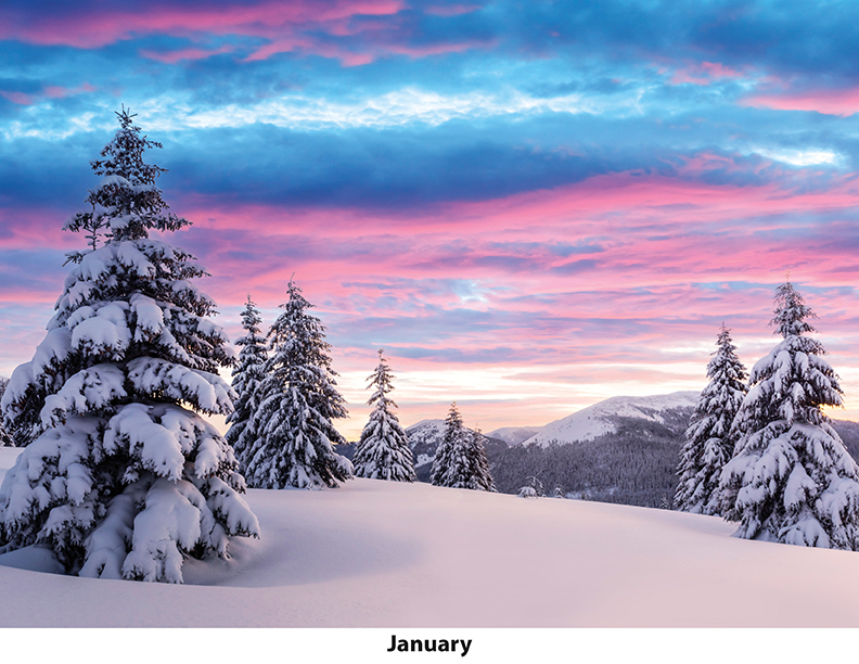 Scenic Seasons Wall Calendar DW27SSP