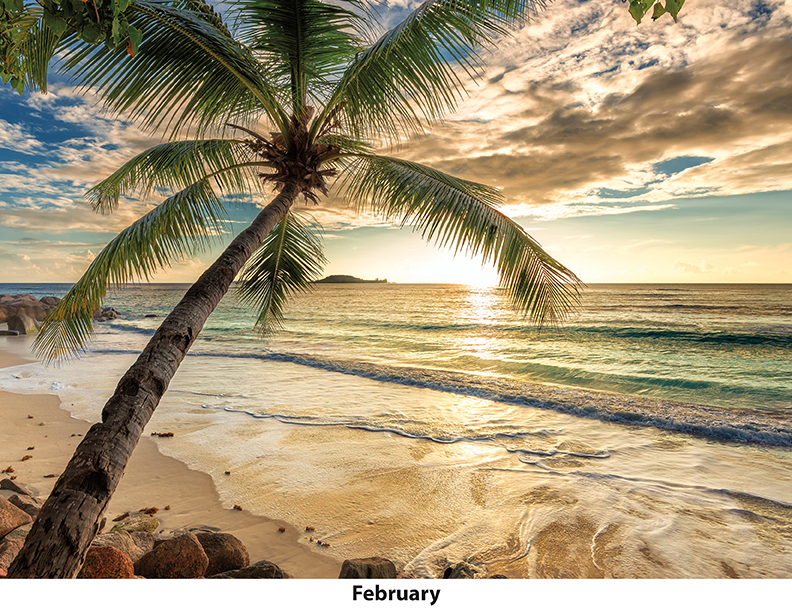 Scenic Seasons Wall Calendar DW27SSP