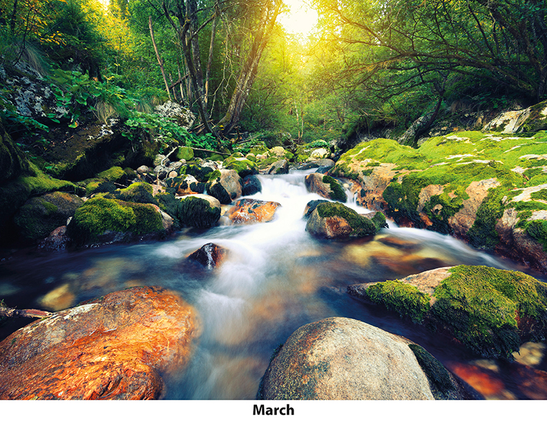Scenic Seasons Wall Calendar DW27SSP