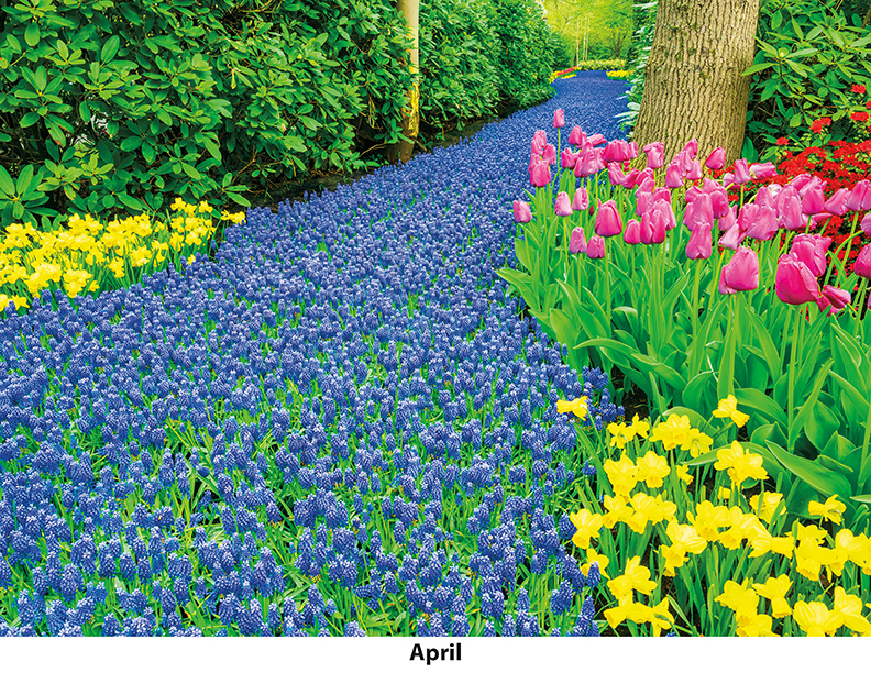 Scenic Seasons Wall Calendar DW27SSP