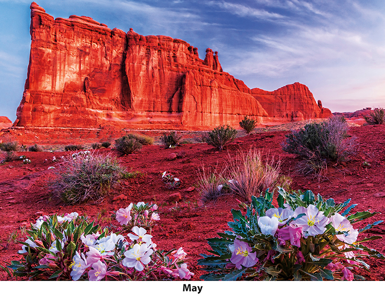 Scenic Seasons Wall Calendar DW27SSP