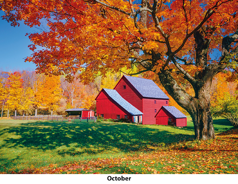 Scenic Seasons Wall Calendar DW27SSP