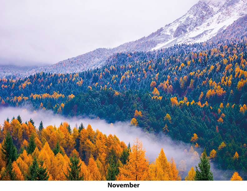 Scenic Seasons Wall Calendar DW27SSP