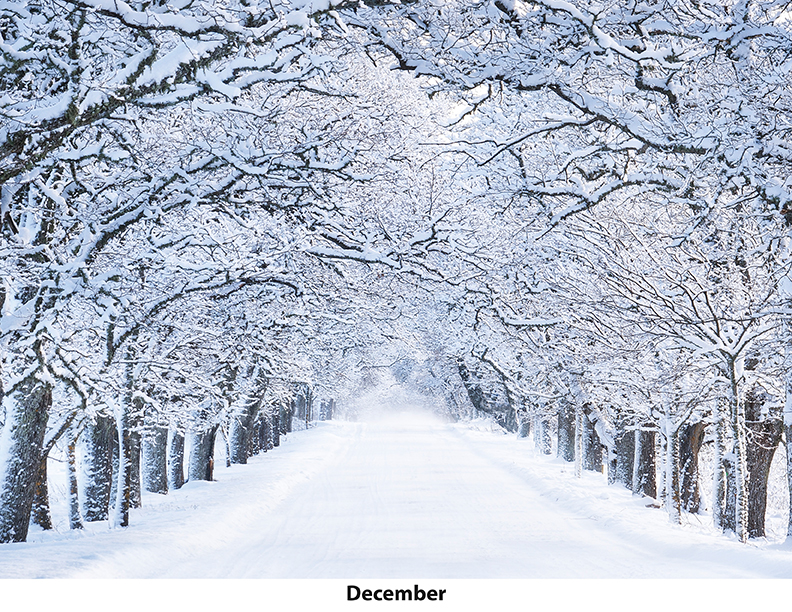 Scenic Seasons Wall Calendar DW27SSP