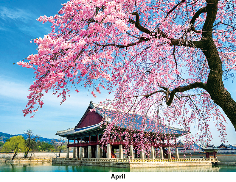 Scenic World Wall Calendar DW27SWP