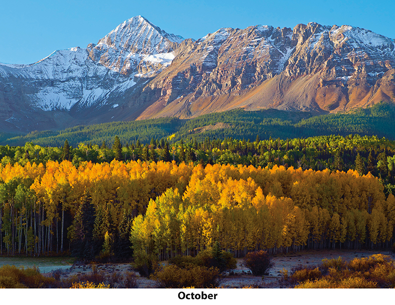 Scenic World Wall Calendar DW27SWP