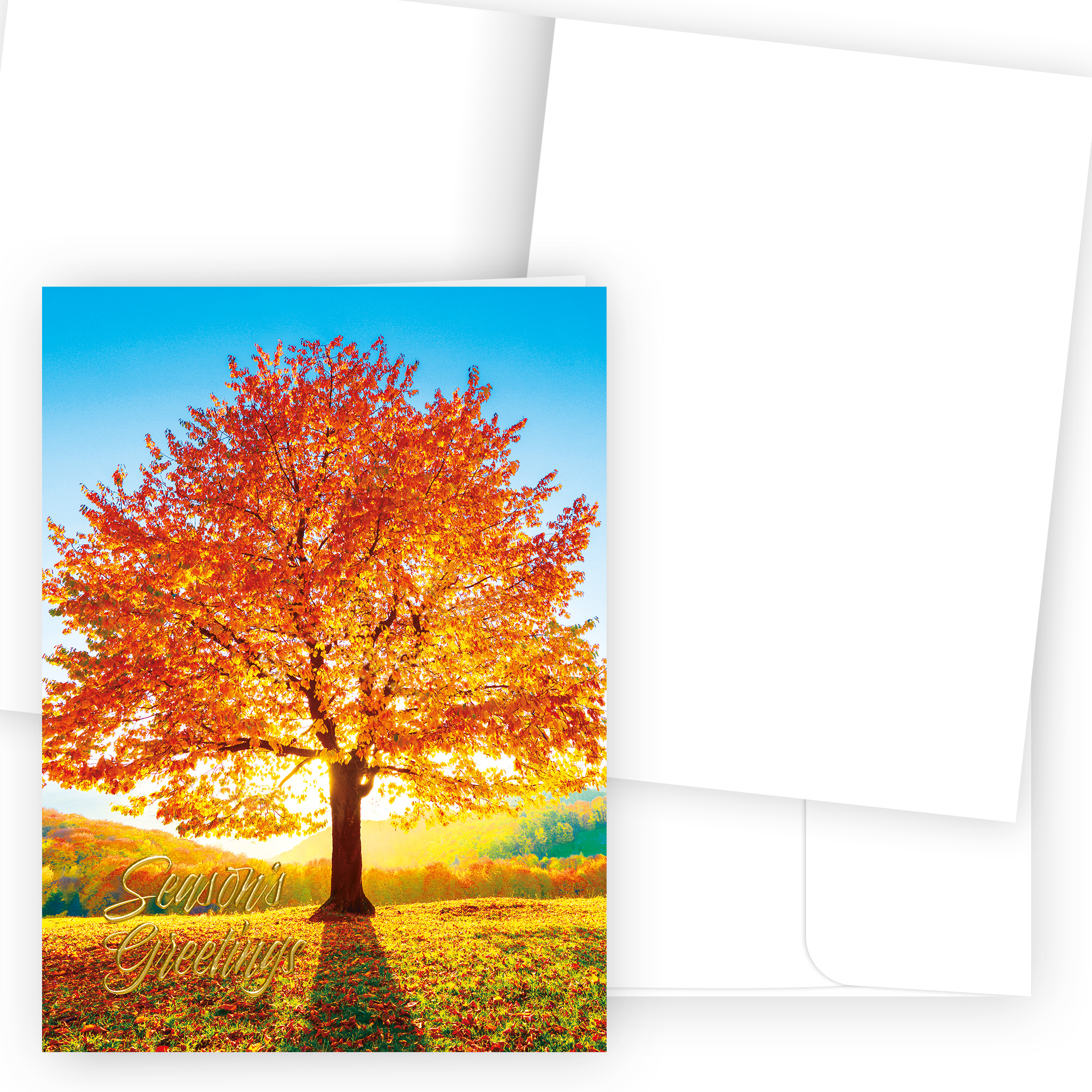 Sunlit Seasons H3459U-AA