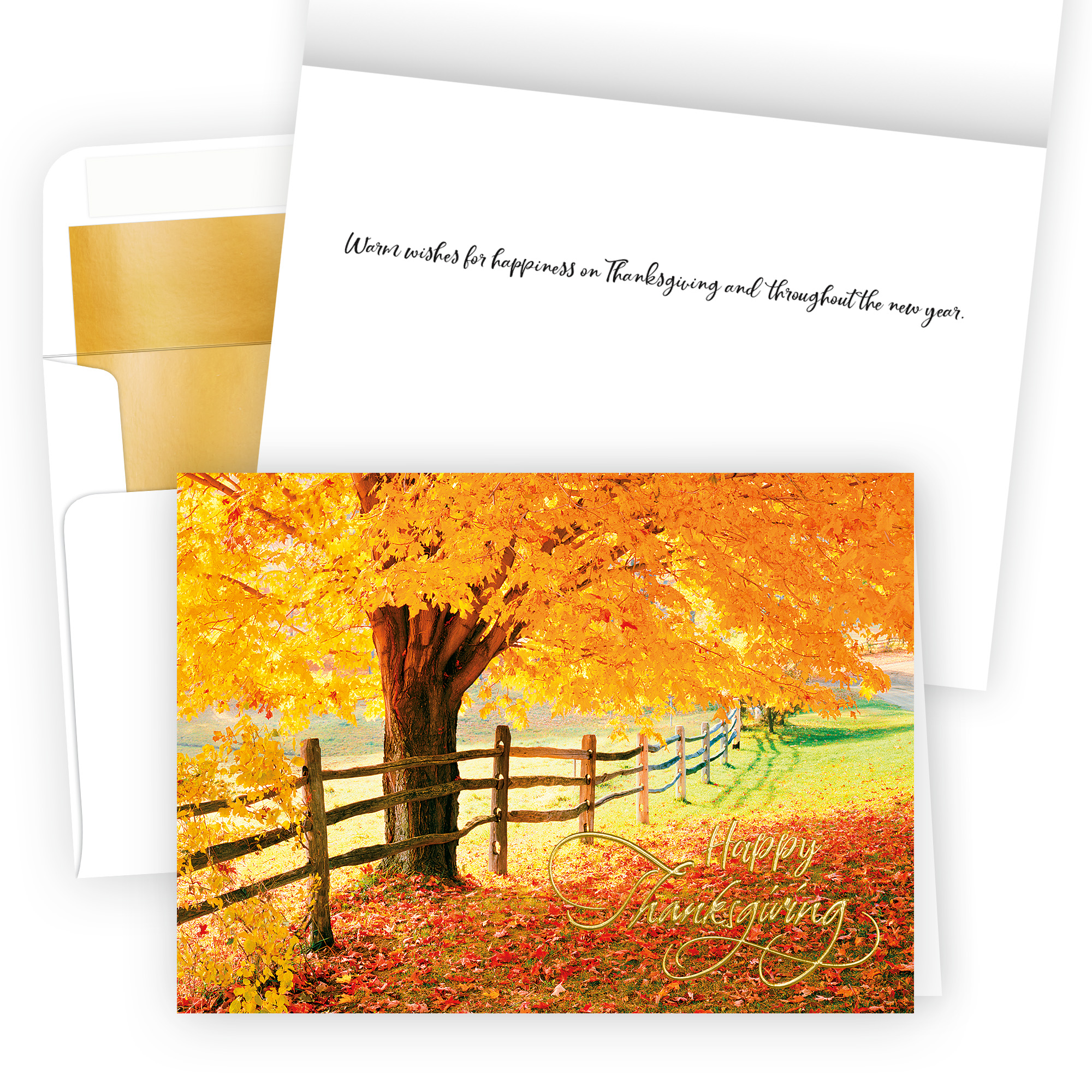 Fence Line Thanksgiving H3563G-AAA