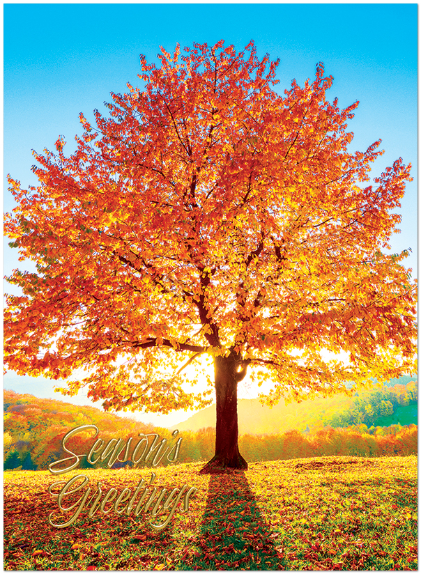 Sunlit Seasons H3459U-AA