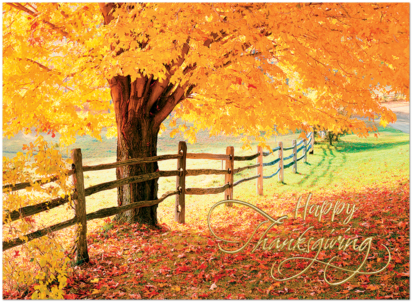 Fence Line Thanksgiving H3563G-AAA