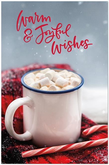 Warm & Joyful Wishes Postcard D3553P-BB