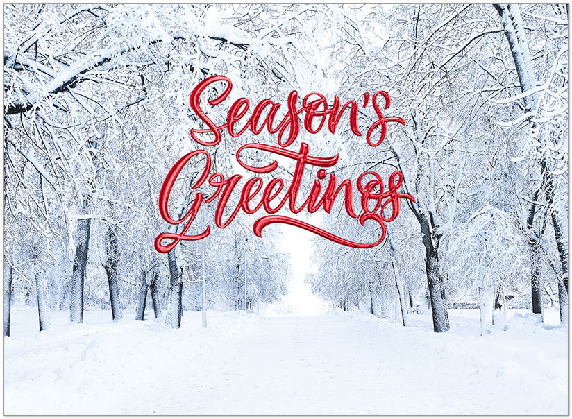 Seasons Snow Path H3515Z-AAA