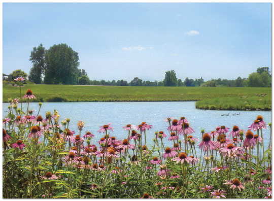 Select a verse or write your own. Scenic Pond Note Card X61U-Y