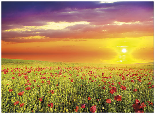 Select a verse or write your own. Sunset Field Notecard D7057U-Y