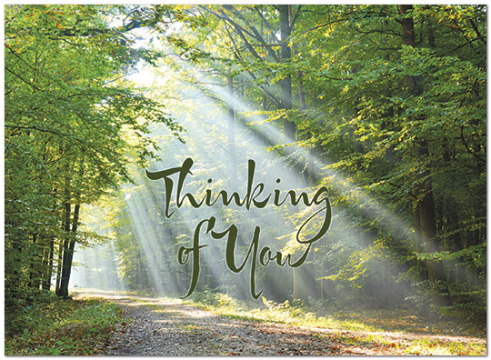 Select a verse or write your own. Thinking of You Path Card D8067U-Y