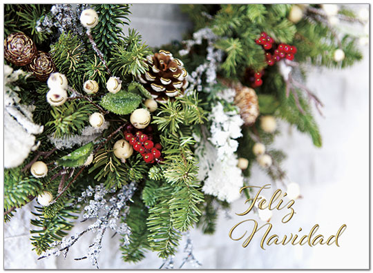 Navidad Greeting Card H8212U-AA