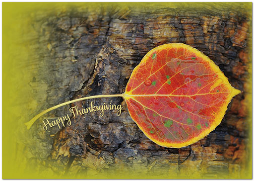 Thinking of you and wishing you all the simple pleasures of this holiday season. Simple Leaf Thanksgiving Card H8102KW-AA