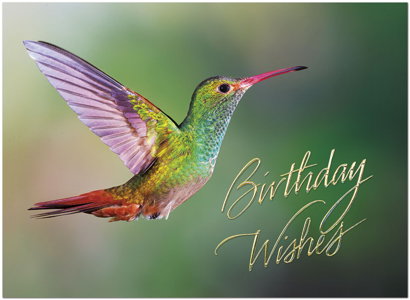 Hummingbird Birthday Card A8011U-X