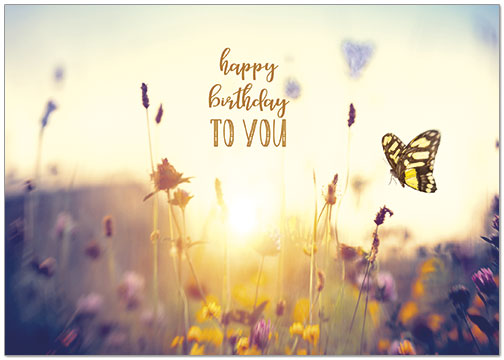 Wishing you a beautiful day of joy and contentment. Serene Birthday Card A9026KW-X