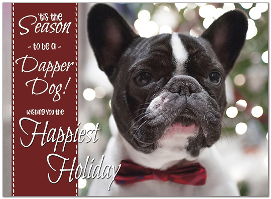 Dapper Dog Holiday Card D9193U-A