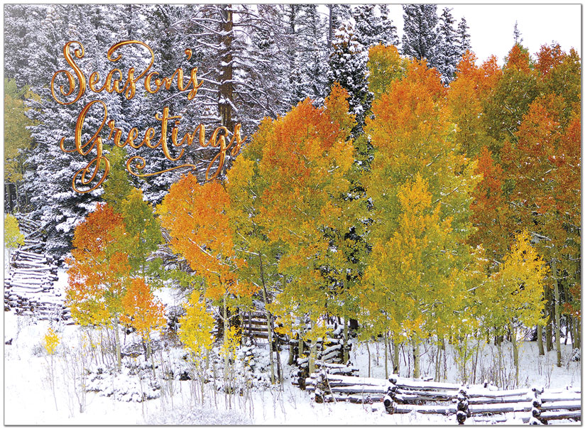 November Surprise Seasonal Card H1480U-AA