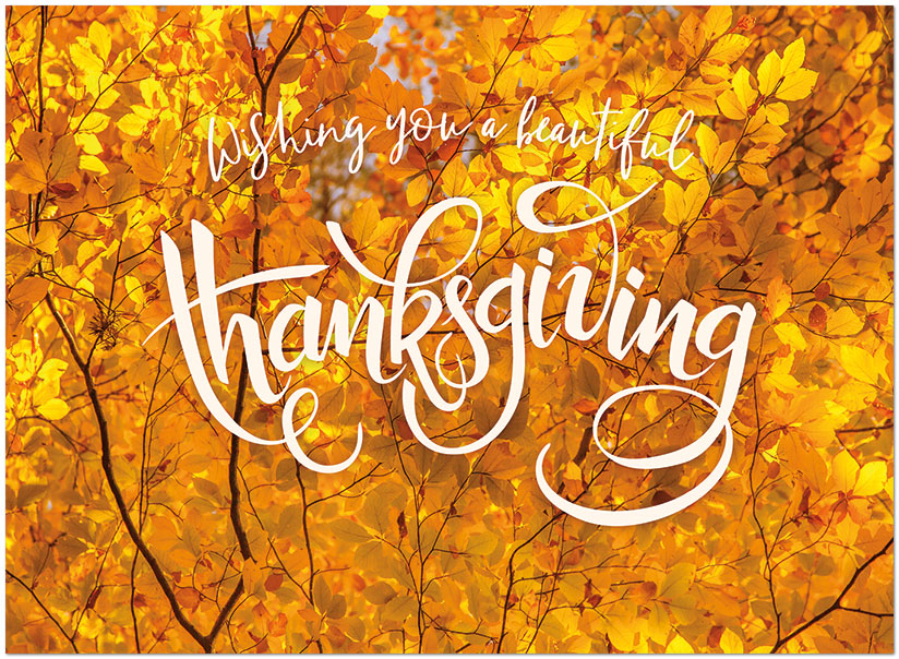 Beautiful Branches H2343U-A