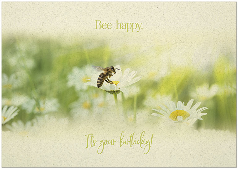 Wishing you a beautiful day full of hope and happiness. Bee Happy A2525KW-X