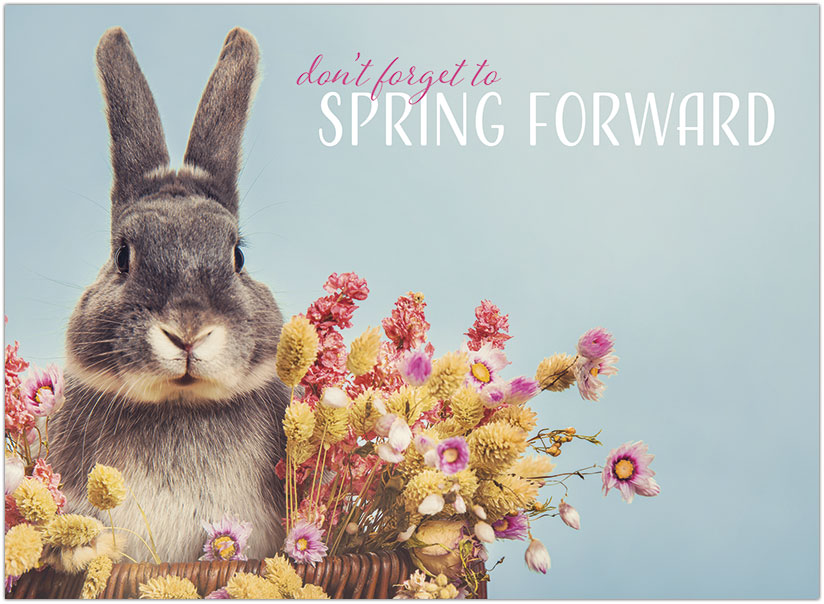 Select a verse or write your own. Spring Bunny D2731U-Y