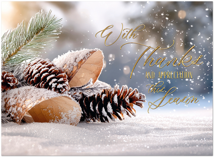 Snowy Appreciation H3333U-AA