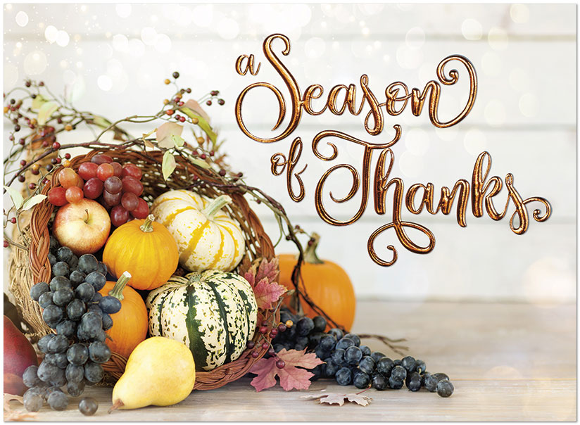 Harvest Season H2969G-AAA