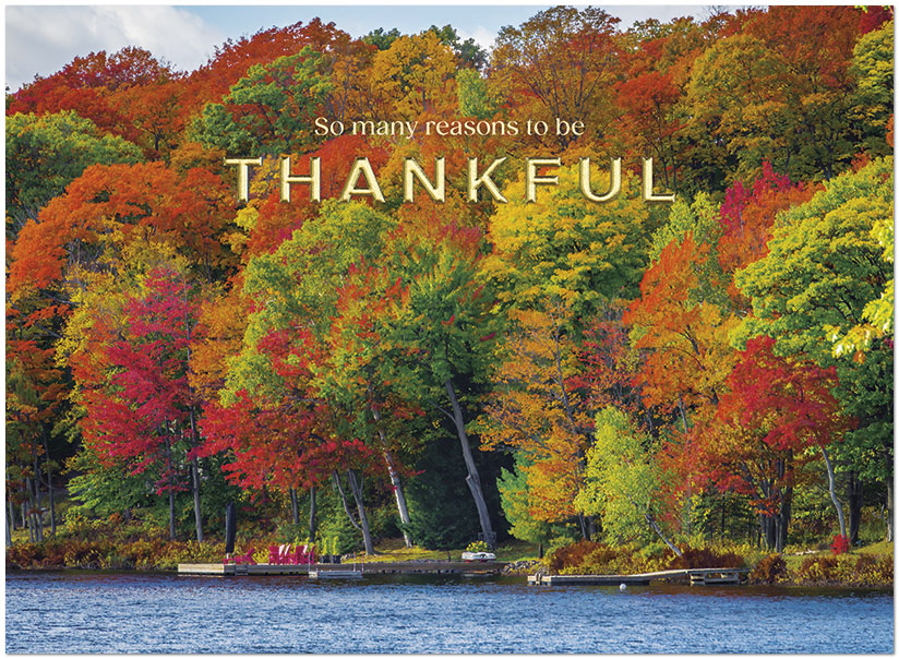 Thankful Reasons H2972U-AA