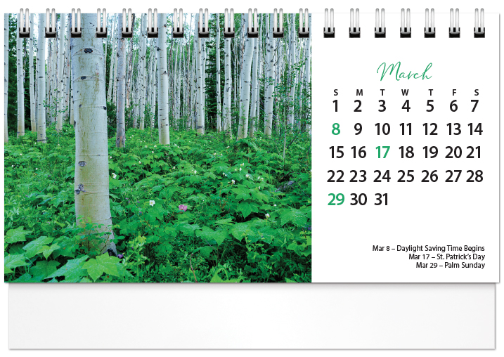 Scenic Seasons Tent Calendar SS2026