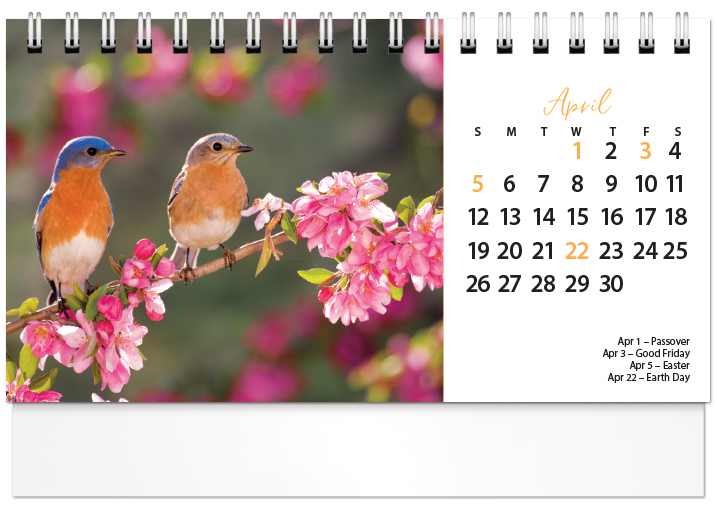 Scenic Seasons Tent Calendar SS2026