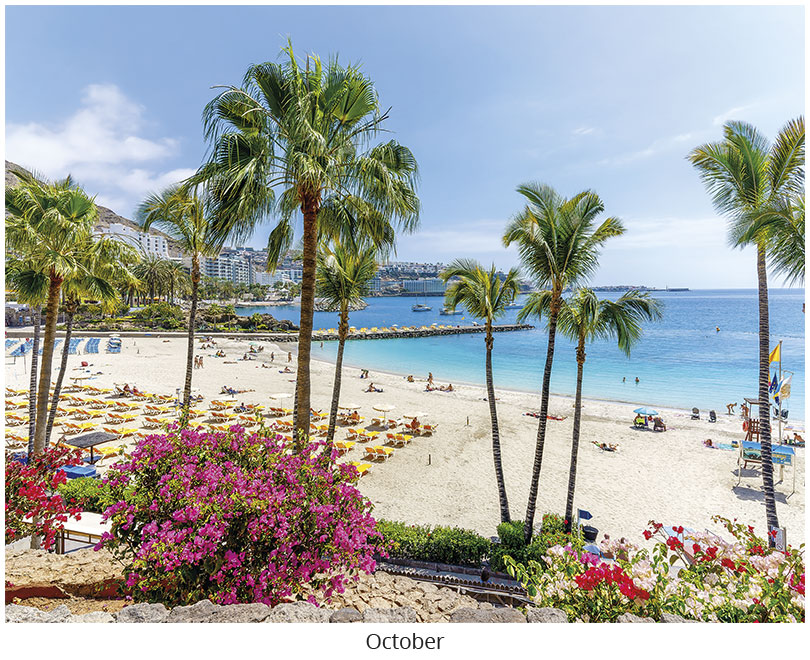 Scenic Beaches Wall Calendar DWP1526