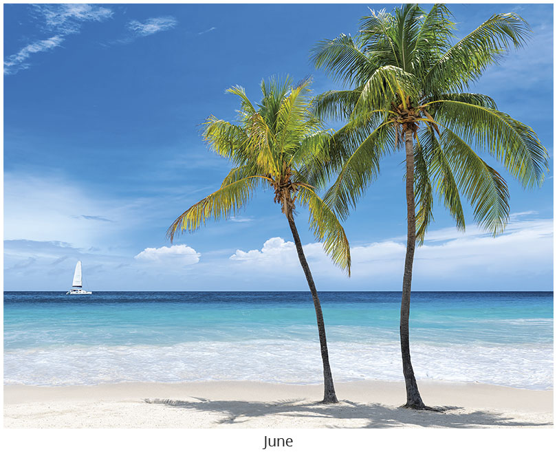 Scenic Beaches Wall Calendar DWP1526