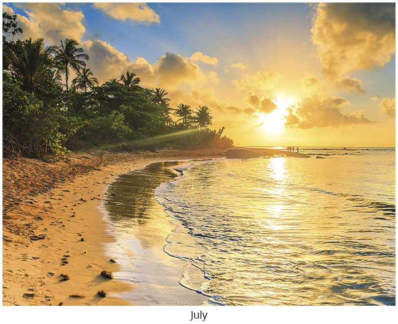 Scenic Beaches Wall Calendar DWP1526