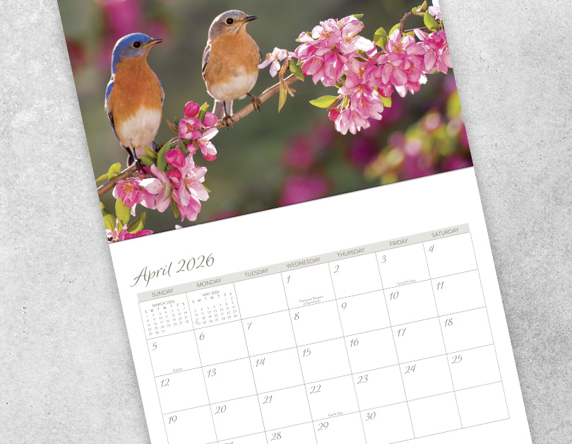 Scenic Seasons Wall Calendar DWM1026