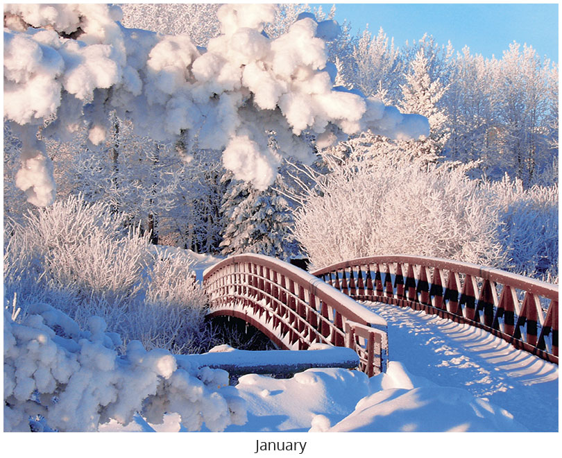 Scenic Seasons Wall Calendar DWM1026