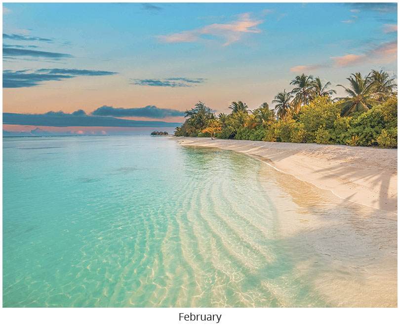 Scenic Seasons Wall Calendar DWM1026