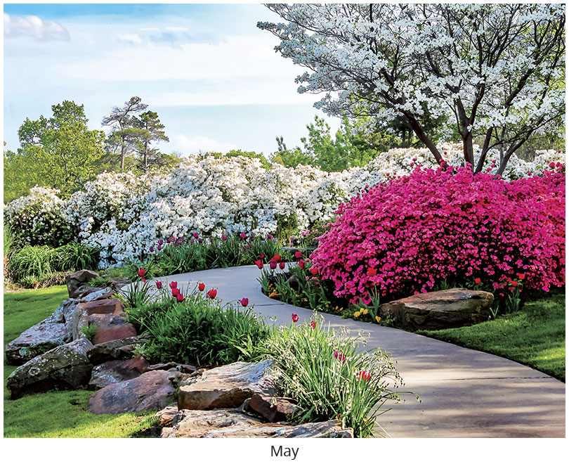 Scenic Seasons Wall Calendar DWM1026