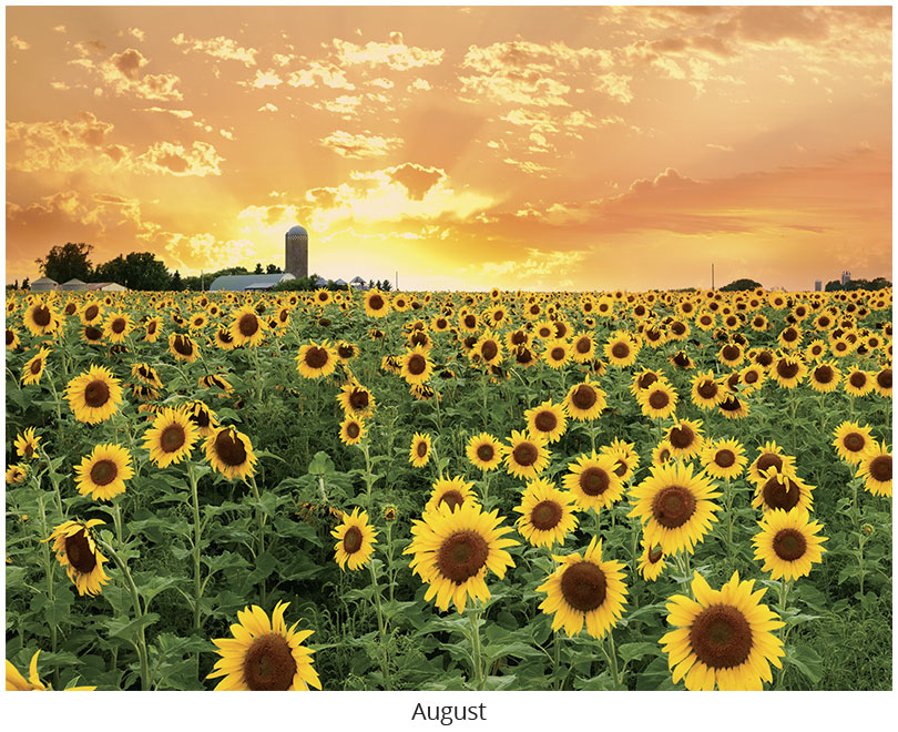 Scenic Seasons Wall Calendar DWM1026
